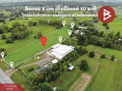 ขายที่ดิน เนื้อที่ 7 ไร่ 1 งาน 0.5 ตร.วา สีแก้ว ร้อยเอ็ด-202510290943201761705800063.jpg