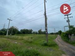 ขายที่ดิน เนื้อที่ 7 ไร่ 1 งาน 0.5 ตร.วา สีแก้ว ร้อยเอ็ด-202510290943221761705802631.jpg