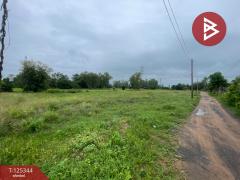 ขายที่ดิน เนื้อที่ 7 ไร่ 1 งาน 0.5 ตร.วา สีแก้ว ร้อยเอ็ด-202510290943231761705803180.jpg