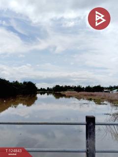 ขายที่ดิน เนื้อที่ 8 ไร่ 2 งาน 80.8 บึงสามพัน เพชรบูรณ์-202510291016471761707807611.jpg