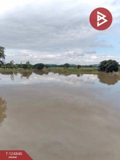 ขายที่ดิน เนื้อที่ 8 ไร่ 2 งาน 80.6 ตร.วา บึงสามพัน เพชรบูรณ์-202510291029151761708555771.jpg