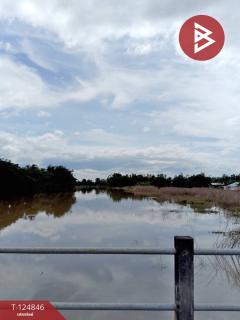 ขายที่ดิน เนื้อที่ 8 ไร่ 2 งาน 80.6 ตร.วา บึงสามพัน เพชรบูรณ์-202510291029171761708557109.jpg