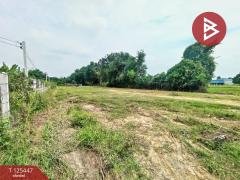 ขายที่ดิน เนื้อที่ 1 ไร่ 40 ตร.วา บ้านโป่ง ราชบุรี-202510291048311761709711015.jpg