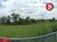 ขายที่ดินพร้อมบ่อน้ำ เนื้อที่ 2 ไร่ 16.5 ตารางวา โพธิ์ชัย หนองคาย-202510291113561761711236114.jpg