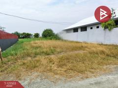 ขายที่ดิน เนื้อที่ 100 ตารางวา บางปะกง ฉะเชิงเทรา