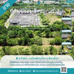 ขายที่ดิน 57 ไร่ ติดถนนเลี่ยงเมืองพิษณุโลก ใกล้สนามบิน ถมสูง 3 เมตร ราคา 171 ล้านบาท