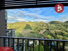 ขายคอนโด ไนท์บริดจ์ ดิโอเชี่ยน ศรีราชา (Knightsbridge The Ocean) ชลบุรี-202510291224561761715496832.jpg