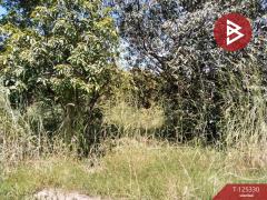 ขายที่ดิน เนื้อที่ 2 งาน 60 ตร.วา กบินทร์บุรี ปราจีนบุรี