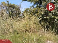 ขายที่ดิน เนื้อที่ 2 งาน 60 ตร.วา กบินทร์บุรี ปราจีนบุรี-202510291241531761716513462.jpg