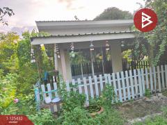 ขายบ้านเดี่ยวชั้นเดียว เนื้อที่ 100 ตารางวา ต.สิบเอ็ดศอก ฉะเชิงเทรา-202510291253061761717186475.jpg