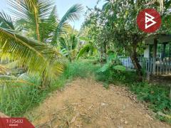 ขายบ้านเดี่ยวชั้นเดียว เนื้อที่ 100 ตารางวา ต.สิบเอ็ดศอก ฉะเชิงเทรา-202510291253071761717187005.jpg