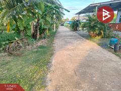 ขายบ้านเดี่ยวชั้นเดียว เนื้อที่ 100 ตารางวา ต.สิบเอ็ดศอก ฉะเชิงเทรา-202510291253091761717189486.jpg