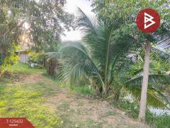 ขายบ้านเดี่ยวชั้นเดียว เนื้อที่ 100 ตารางวา ต.สิบเอ็ดศอก ฉะเชิงเทรา-202510291253101761717190031.jpg