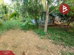 ขายบ้านเดี่ยวชั้นเดียว เนื้อที่ 100 ตารางวา ต.สิบเอ็ดศอก ฉะเชิงเทรา-202510291253111761717191136.jpg