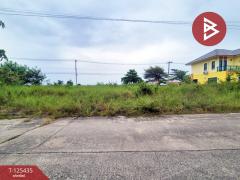 ขายที่ดิน เนื้อที่ 1 งาน 91 ตร.วา บางบ่อ สมุทรปราการ-202510291254171761717257888.jpg