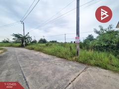 ขายที่ดิน เนื้อที่ 1 งาน 91 ตร.วา บางบ่อ สมุทรปราการ-202510291254181761717258984.jpg