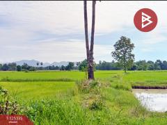 ขายที่ดิน เนื้อที่ 13 ไร่ 47 ตร.วา ทัพทัน อุทัยธานี-202510291257081761717428990.jpg