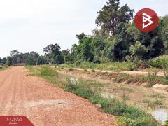 ขายที่ดิน เนื้อที่ 13 ไร่ 47 ตร.วา ทัพทัน อุทัยธานี-202510291257091761717429569.jpg