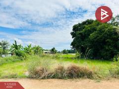 ขายที่ดิน เนื้อที่ 13 ไร่ 47 ตร.วา ทัพทัน อุทัยธานี-202510291257101761717430120.jpg