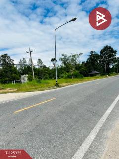 ขายที่ดิน เนื้อที่ 13 ไร่ 47 ตร.วา ทัพทัน อุทัยธานี-202510291257101761717430663.jpg