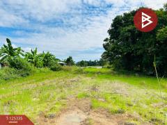 ขายที่ดิน เนื้อที่ 13 ไร่ 47 ตร.วา ทัพทัน อุทัยธานี-202510291257111761717431191.jpg