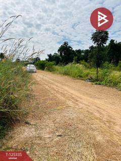 ขายที่ดิน เนื้อที่ 13 ไร่ 47 ตร.วา ทัพทัน อุทัยธานี-202510291257111761717431730.jpg