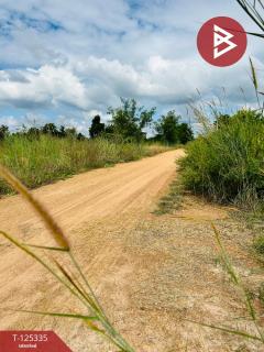 ขายที่ดิน เนื้อที่ 13 ไร่ 47 ตร.วา ทัพทัน อุทัยธานี-202510291257121761717432268.jpg