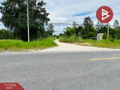 ขายที่ดิน เนื้อที่ 13 ไร่ 47 ตร.วา ทัพทัน อุทัยธานี-202510291257121761717432800.jpg