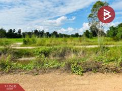 ขายที่ดิน เนื้อที่ 13 ไร่ 47 ตร.วา ทัพทัน อุทัยธานี-202510291257131761717433873.jpg