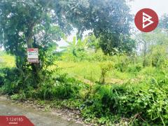 ขายที่ดิน-เนื้อที่-4-ไร่-65.5-ตร.วา-หนองจ