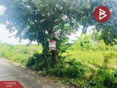 ขายที่ดิน เนื้อที่ 4 ไร่ 65.5 ตร.วา หนองจอก กรุงเทพมหานคร-202510291311321761718292005.jpg