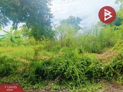 ขายที่ดิน เนื้อที่ 4 ไร่ 65.5 ตร.วา หนองจอก กรุงเทพมหานคร-202510291311321761718292592.jpg