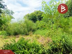 ขายที่ดิน เนื้อที่ 4 ไร่ 65.5 ตร.วา หนองจอก กรุงเทพมหานคร-202510291311331761718293176.jpg