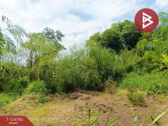 ขายที่ดิน เนื้อที่ 4 ไร่ 65.5 ตร.วา หนองจอก กรุงเทพมหานคร-202510291311331761718293764.jpg