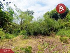 ขายที่ดิน เนื้อที่ 4 ไร่ 65.5 ตร.วา หนองจอก กรุงเทพมหานคร-202510291311341761718294339.jpg