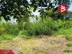 ขายที่ดิน เนื้อที่ 4 ไร่ 65.5 ตร.วา หนองจอก กรุงเทพมหานคร-202510291311341761718294941.jpg