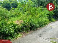 ขายที่ดิน เนื้อที่ 4 ไร่ 65.5 ตร.วา หนองจอก กรุงเทพมหานคร-202510291311351761718295548.jpg