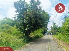 ขายที่ดิน เนื้อที่ 4 ไร่ 65.5 ตร.วา หนองจอก กรุงเทพมหานคร-202510291311361761718296119.jpg