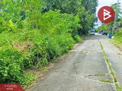 ขายที่ดิน เนื้อที่ 4 ไร่ 65.5 ตร.วา หนองจอก กรุงเทพมหานคร-202510291311371761718297301.jpg