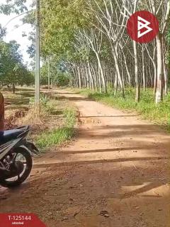 ขายที่ดินพร้อมสิ่งปลูกสร้าง เนื้อที่ 3 งาน 84.3 ตร.วา กะเฉด ระยอง-202510291324231761719063779.jpg