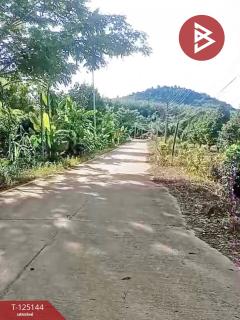 ขายที่ดินพร้อมสิ่งปลูกสร้าง เนื้อที่ 3 งาน 84.3 ตร.วา กะเฉด ระยอง-202510291324241761719064351.jpg