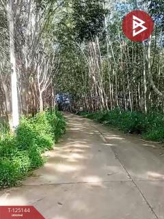 ขายที่ดินพร้อมสิ่งปลูกสร้าง เนื้อที่ 3 งาน 84.3 ตร.วา กะเฉด ระยอง-202510291324241761719064939.jpg