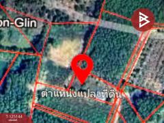 ขายที่ดินพร้อมสิ่งปลูกสร้าง เนื้อที่ 3 งาน 84.3 ตร.วา กะเฉด ระยอง-202510291324251761719065540.jpg