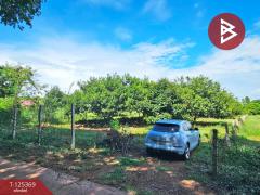 ขายที่ดิน เนื้อที่ 2 ไร่ ศรีมหาโพธิ ปราจีนบุรี