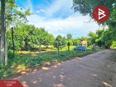 ขายที่ดิน เนื้อที่ 2 ไร่ ศรีมหาโพธิ ปราจีนบุรี-202510291331321761719492981.jpg