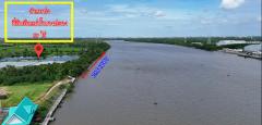 ขายที่ดินติดแม่น้ำบางปะกง 59 ไร่ ตรงข้ามท่าเรือบ้านโพธิ์ ต.บ้านโพธิ์ อ.บ้านโพธิ์ จ.ฉะเชิงเทรา-202510291344181761720258181.jpg