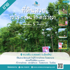 ขายที่ดินสวย 12-1-37 ไร่ ติดถนนดำ ใกล้ที่ว่าการอำเภอ-โรงพยาบาล เพียง 5 ล้าน