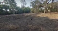 ขายที่ดินเปล่า 2 ไร่ 53 ตรว. ต.บางไทร อ.บางไทร จ.พระนครศรีอยุธยา