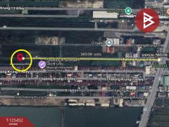 ขายที่ดิน เนื้อที่ 101 ตารางวา ซอยฉลองกรุง 9 ลาดกระบัง กรุงเทพฯ-202510291453361761724416976.jpg