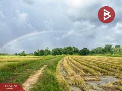 ขายที่ดินแปลงใหญ่ เนื้อที่ 44 ไร่ 2 งาน หนองฉาง อุทัยธานี